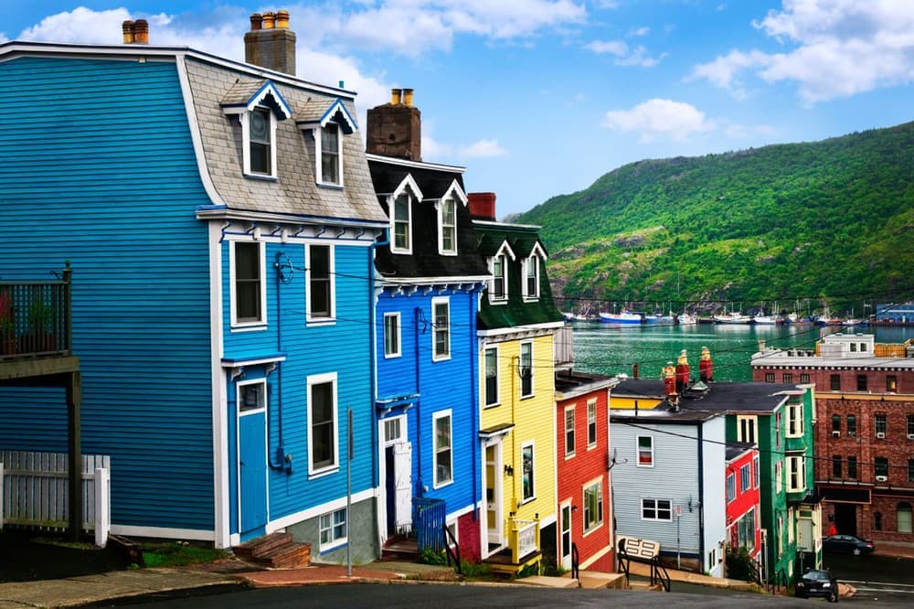 Colourful row houses overlooking St. John's harbour