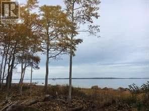 202 Comfort Cove Road thumbnail 7