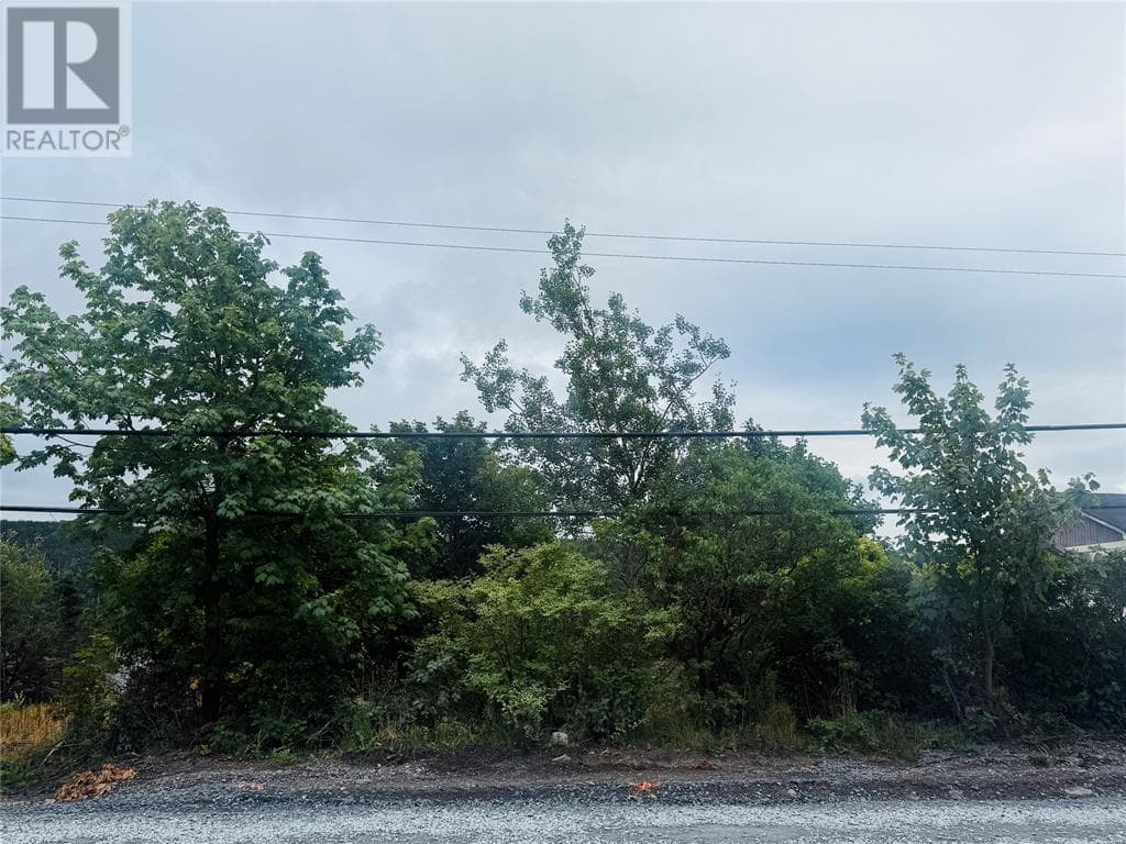 1253 Main Road thumbnail 4