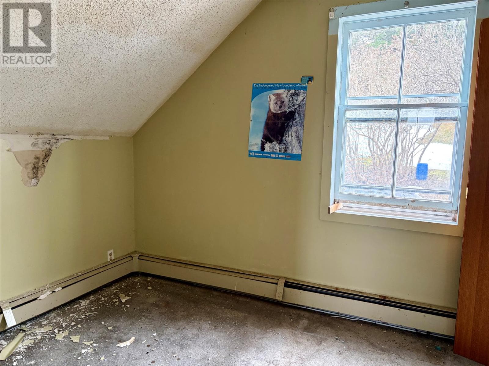 5 O'Briens Lane thumbnail 17