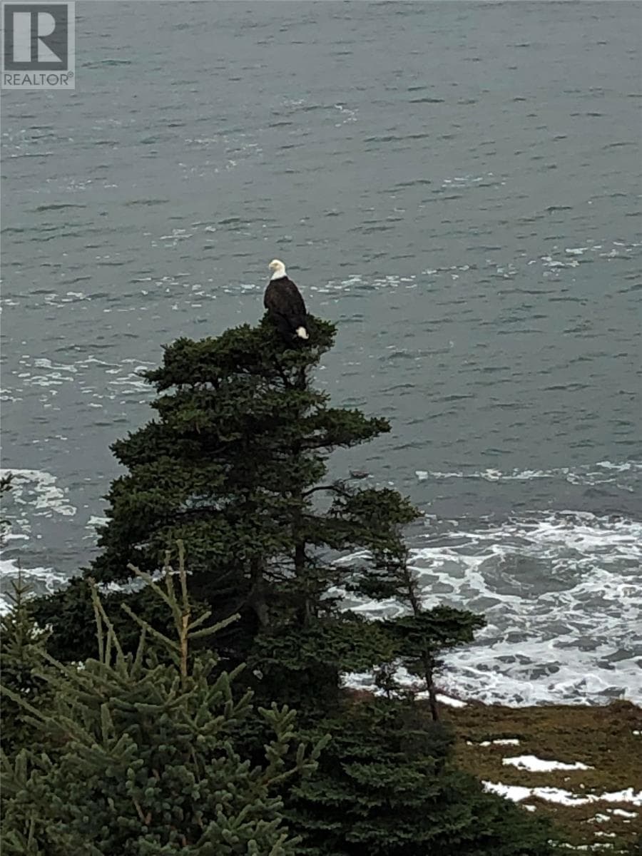 0 Broad Cove thumbnail 8