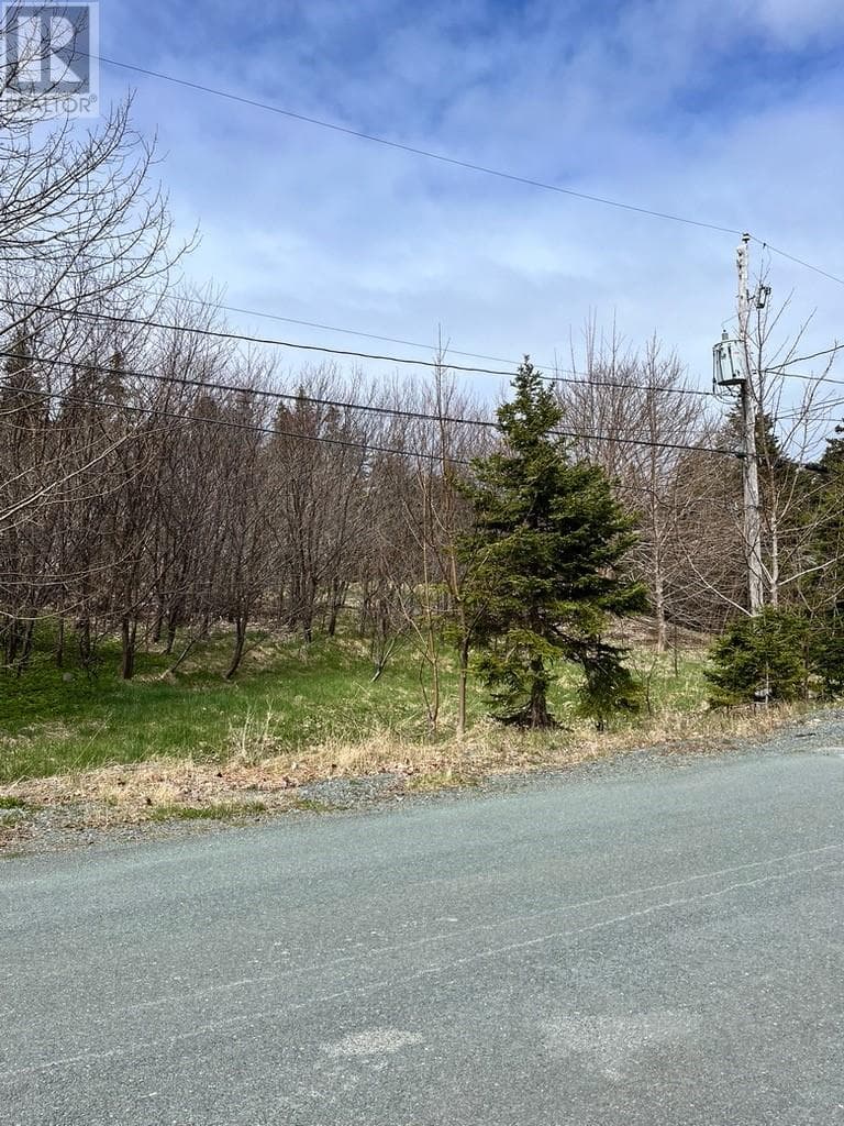#81-89 Town Circle Road thumbnail 4