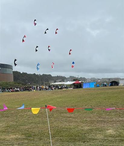 PAL Kite Festival