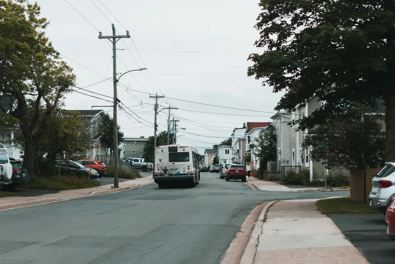 Homes and trees lining a St. John's neighbourhood street